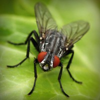 /album/multheborbe/photolia-a01-jpg/