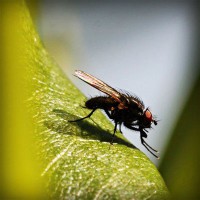 /album/multheborbe/photolia-a04-jpg/