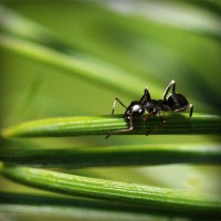 /album/multheborbe/photolia-a05-jpg/