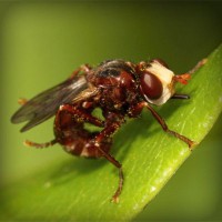 /album/multheborbe/photolia-a06-jpg/