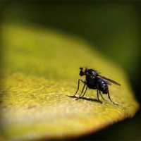 /album/multheborbe/photolia-a07-jpg/